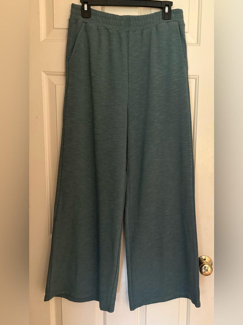 NWOT Zenana Size Medium Wide-Leg Light Green Pants